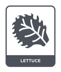 lettuce icon vector