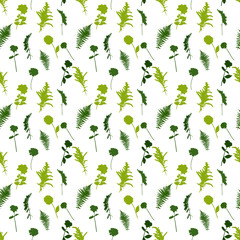 Fototapeta na wymiar Colorful green twig fern and other plants of nature. seamless pattern. Vector Illustration