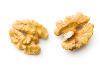The walnut kernels.