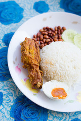 Malaysian nasi lemak set dish