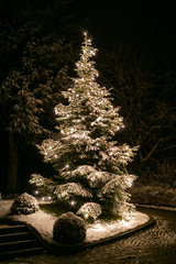 Glowing christmas tree with light string