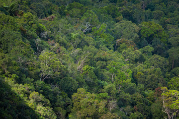 Landscape on Langkawi skycab ride