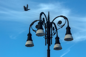 Beautiful retro street lamp against the background of the blue sky and a flying pigeon. Brasov, Romania.