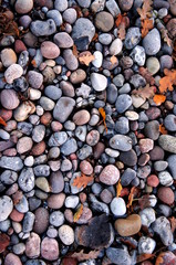 Steine und Kies am Strand und am Sand an der Ostsee