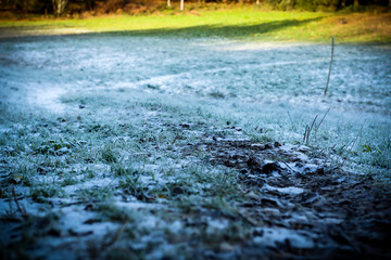 the way in the snow