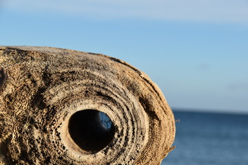 Fototapeta na wymiar object on beach in bastia 
