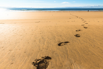 Foot prints on Raudisandur Beach, west fjords, Iceland