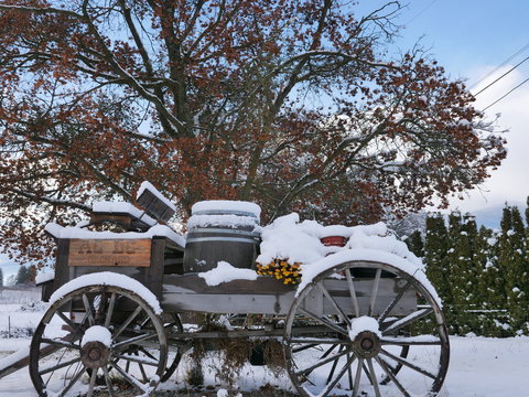 old carriage covered in snow