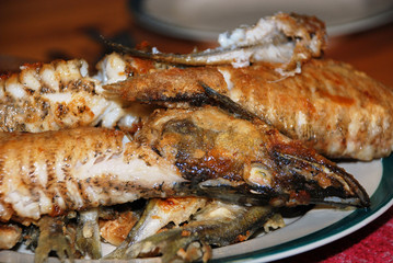 Grilled fish lying on a white plate