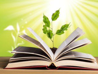 Open book on old wooden table.