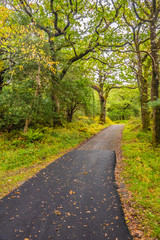 Fototapeta na wymiar Backroads of Killarney National Park, County Kerry, Ireland.