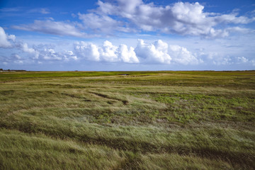 Open wide field of grass in front of a blue sky with clouds in Northern Germany.