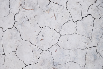 Cracked Earth