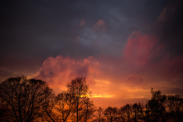 Lilac-pink clouds at sunset
