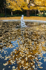 Reflejo dorado en la fuente