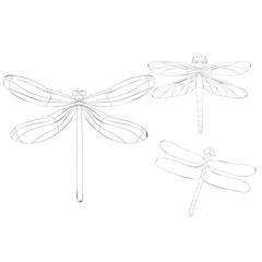 dragonfly sketch, outline, set