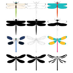 dragonfly, insect, set, silhouettes