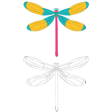 isolated, bright dragonfly, coloring book