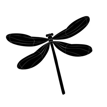 silhouette dragonfly, black