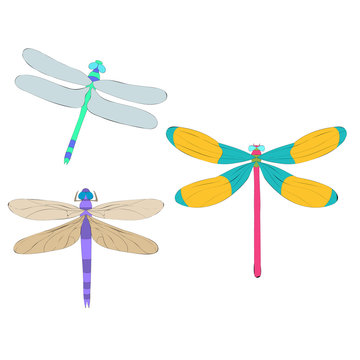 bright dragonfly, cartoon, set