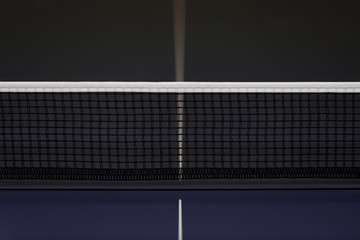 Net on blue ping pong tennis table