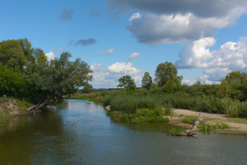 Landscape with river and trees