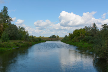 Fototapeta premium Landscape with river and trees