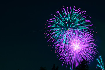 Fantasy purple and green fireworks display on dark sky background; Celebrations, Festivals, Independence Day, 4th of July or New Year