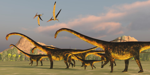 Barosaurus Dinosaur Herd - A Barosaurus dinosaur herd watches over it's youngsters as two Pteranodon reptiles fly over. © Catmando
