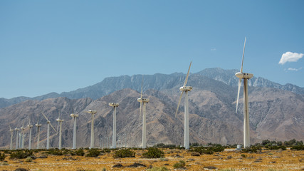 wind turbines in the field