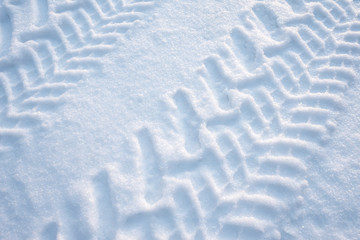 Tire tracks in fresh snow