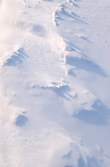 Fresh snow. Wind sculpted snow formations lit by midwinter sun.