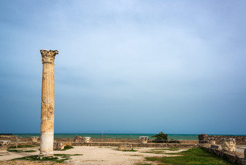 Column in the Antonine Baths of Carthage