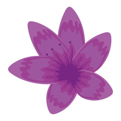 tropical flower icon