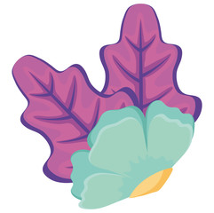 tropical flowers design