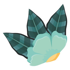 tropical flowers design