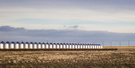 Row of grain silos in empty field 