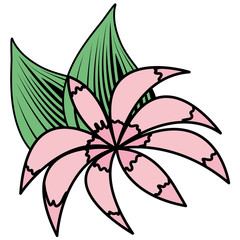 tropical flowers design