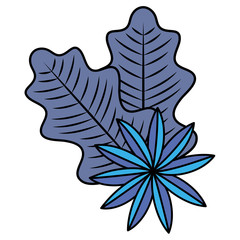 tropical leaves design