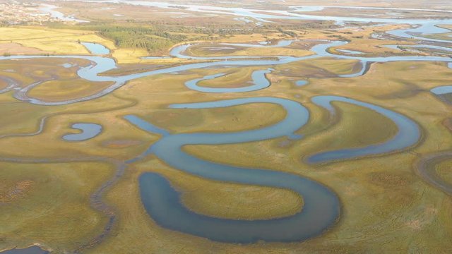 Aerial view of wetland with grazing horse, Qiqihar, Heilongjiang, China, Asia.