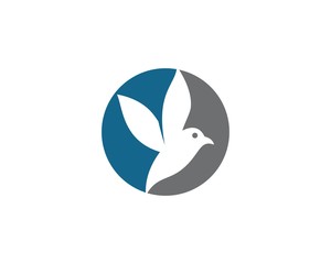 Hummingbird logo template vector icon