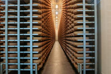 basement of chese factory