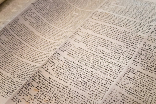 Scroll Samaritan Torah