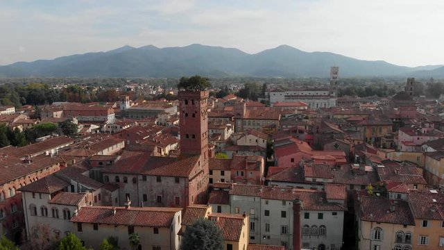 Torre Guinig in the city of Lucca
