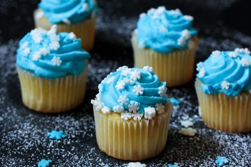 Mini Cupcakes with blue frosting and snowflakes sprinkles, selective focus