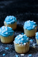 Mini Cupcakes with blue frosting and snowflakes sprinkles, selective focus