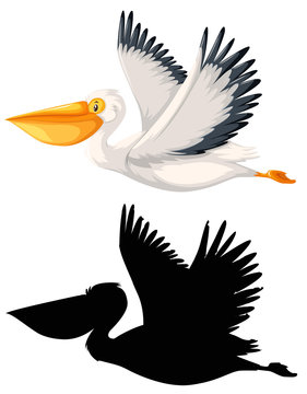Aet of pelican character