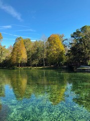 Obraz premium Florida Springs