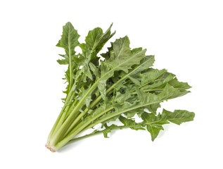 Dandelion greens isolated on white background