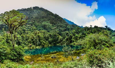 Pozo Verde (Green Pond) Costa Rica